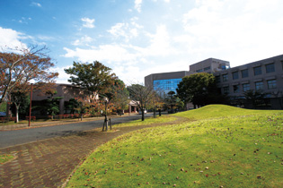 �L�����p�X